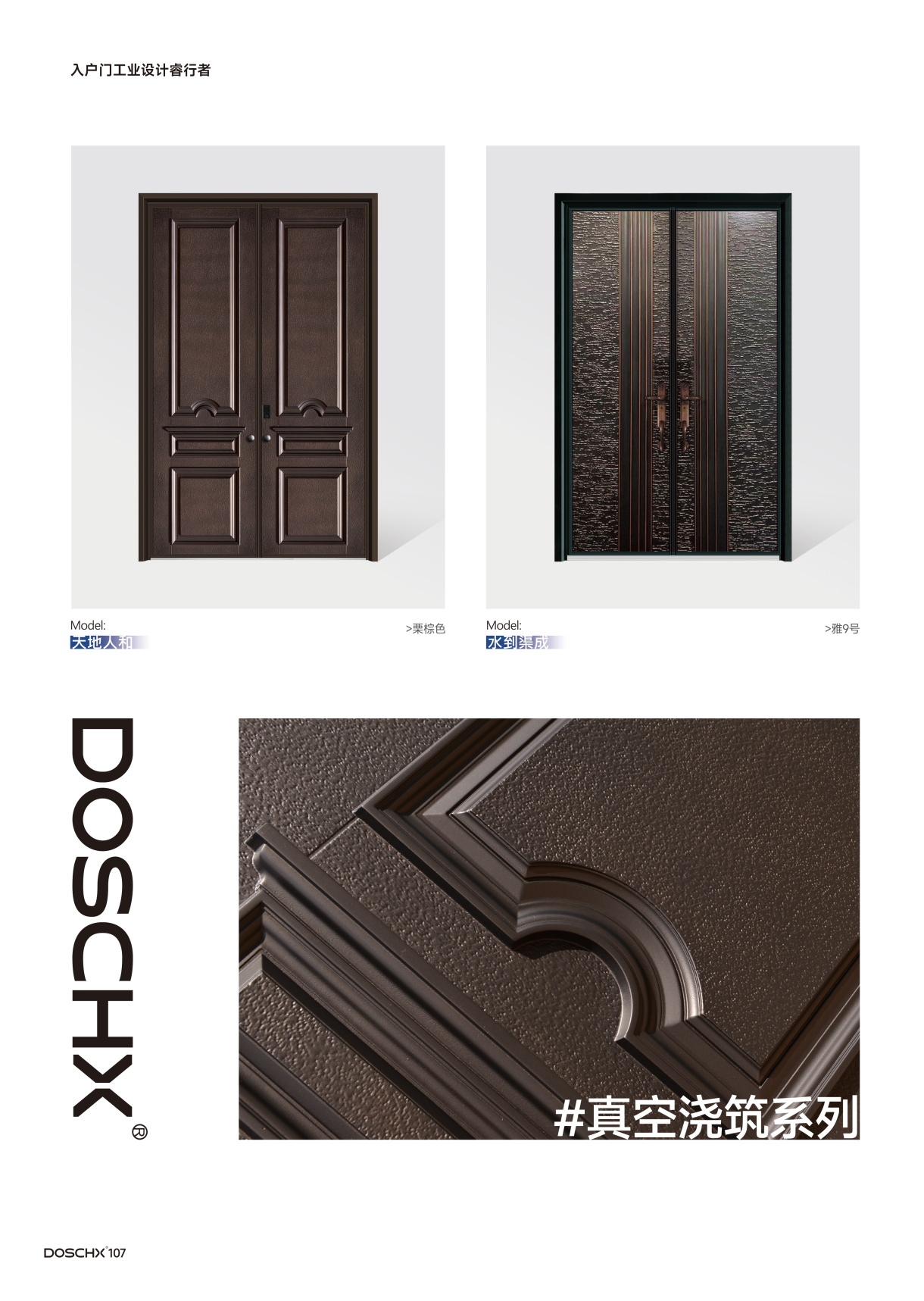DOSCHX德斯杰入户门